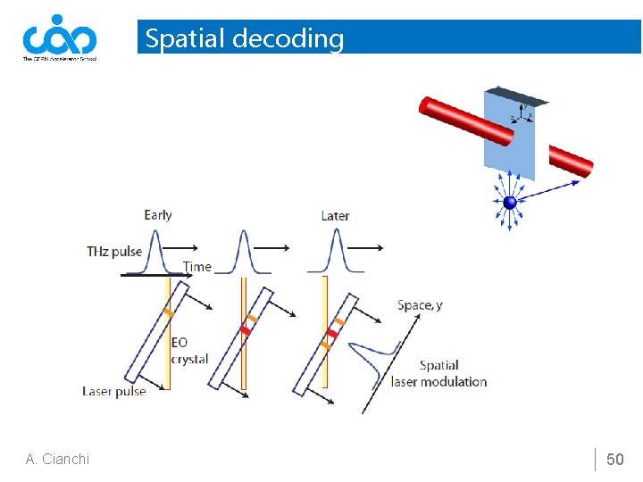 Spatial decoding A. Cianchi 50 