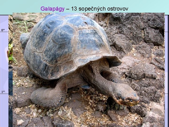 Galapágy – 13 sopečných ostrovov 