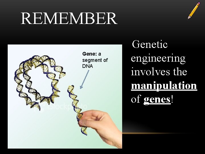 REMEMBER Gene: a segment of DNA Genetic engineering involves the manipulation of genes! 