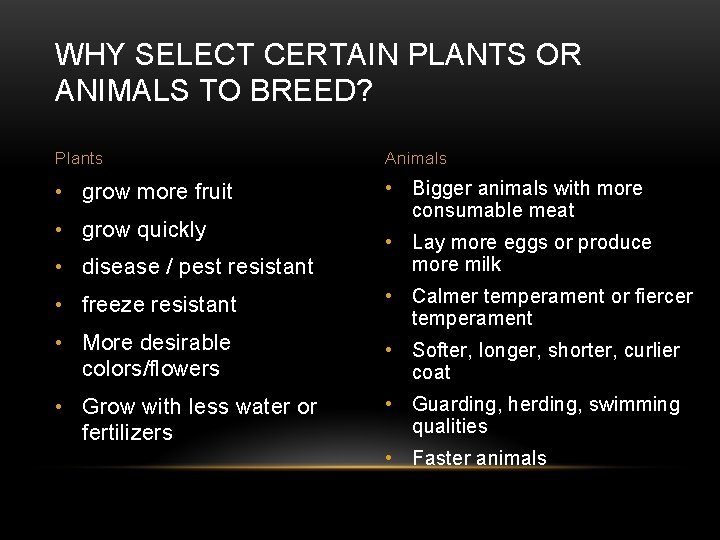 ARTIFICIAL SELECTION AKA SELECTIVE BREEDING ARTIFICIAL SELECTION