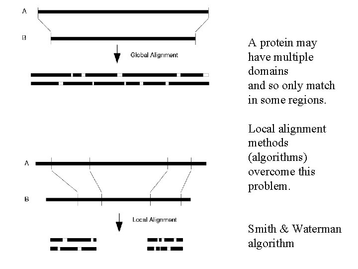 A protein may have multiple domains and so only match in some regions. Local