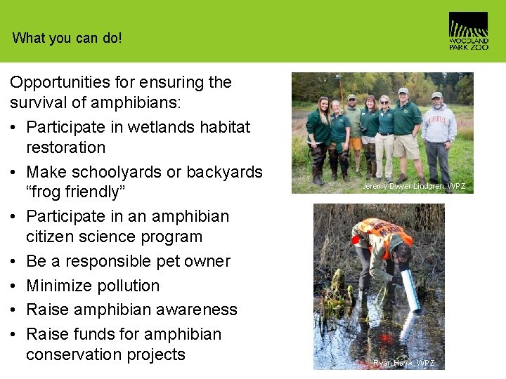 What you can do! Opportunities for ensuring the survival of amphibians: • Participate in