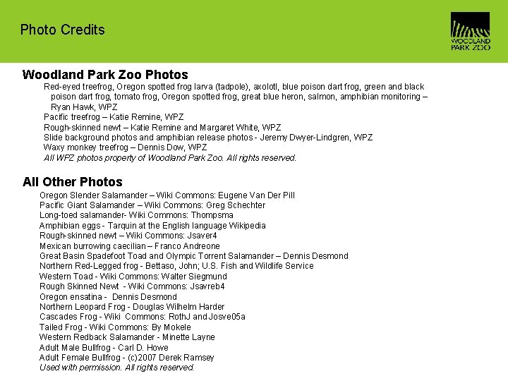 Photo Credits Woodland Park Zoo Photos Red-eyed treefrog, Oregon spotted frog larva (tadpole), axolotl,