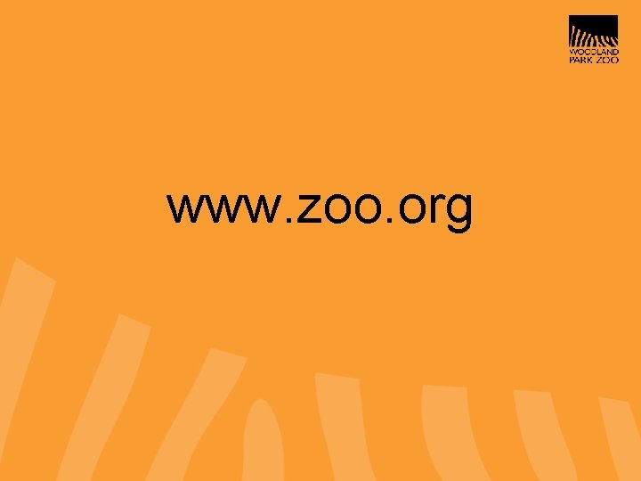 www. zoo. org 