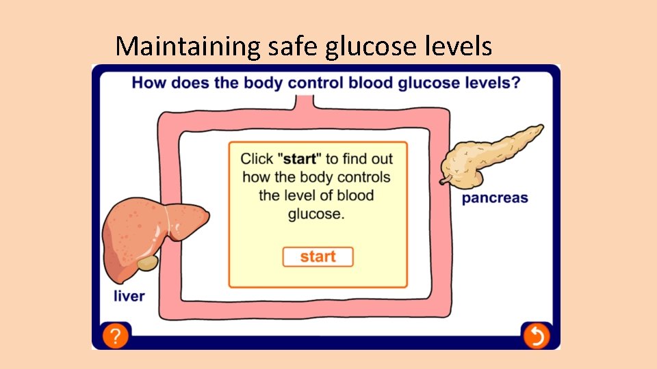 Maintaining safe glucose levels 
