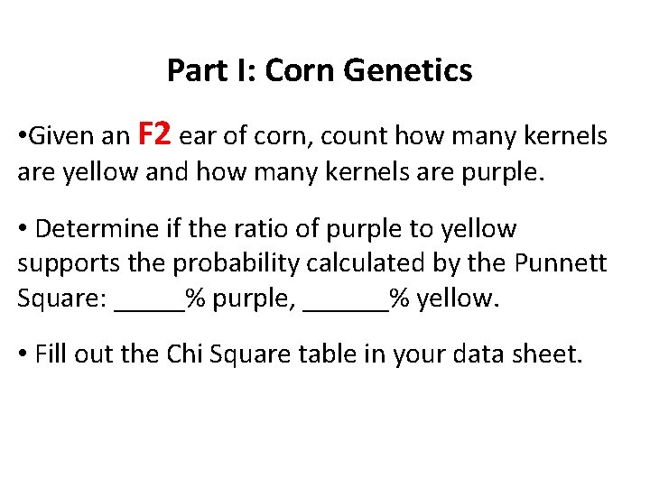 Part I: Corn Genetics • Given an F 2 ear of corn, count how