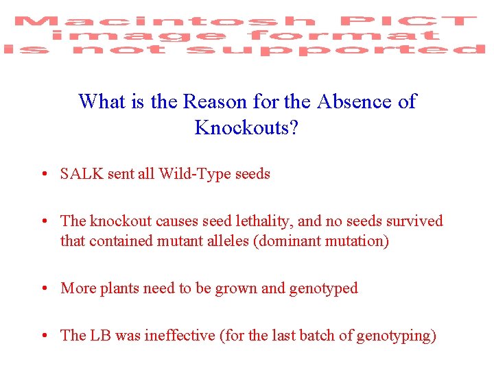 What is the Reason for the Absence of Knockouts? • SALK sent all Wild-Type