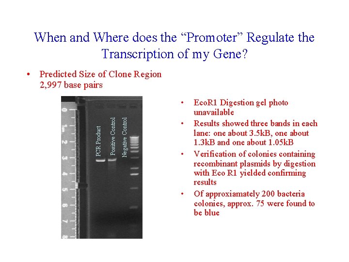 When and Where does the “Promoter” Regulate the Transcription of my Gene? • Predicted