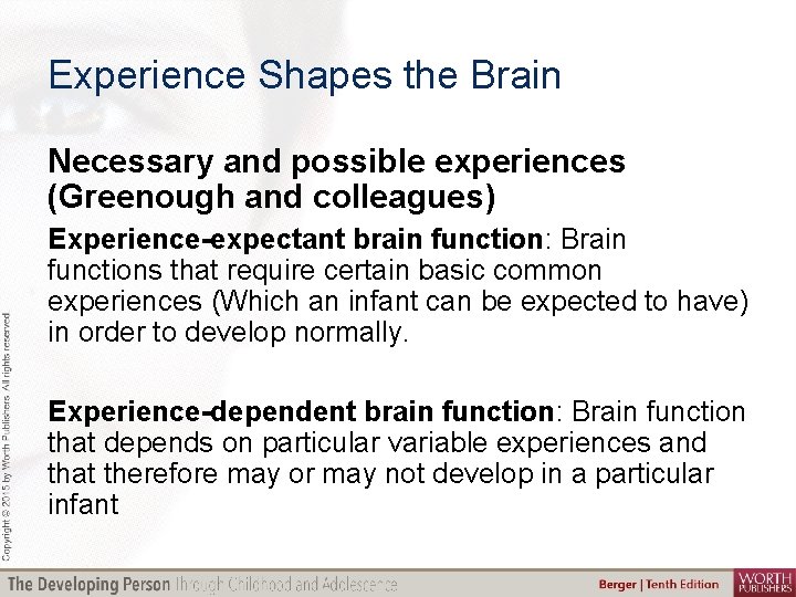 Experience Shapes the Brain Necessary and possible experiences (Greenough and colleagues) Experience-expectant brain function: