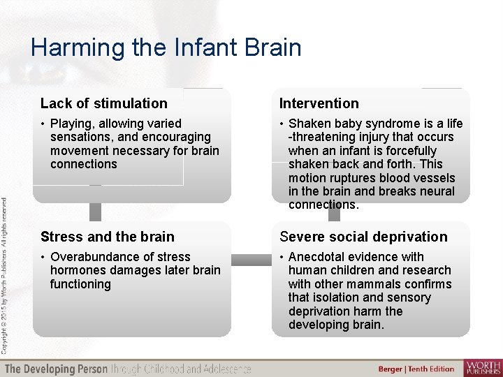 Harming the Infant Brain Lack of stimulation Intervention • Playing, allowing varied sensations, and