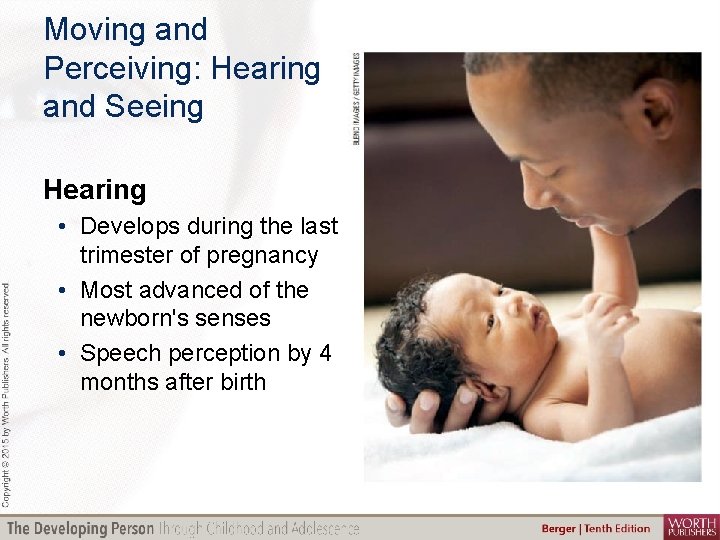 Moving and Perceiving: Hearing and Seeing Hearing • Develops during the last trimester of