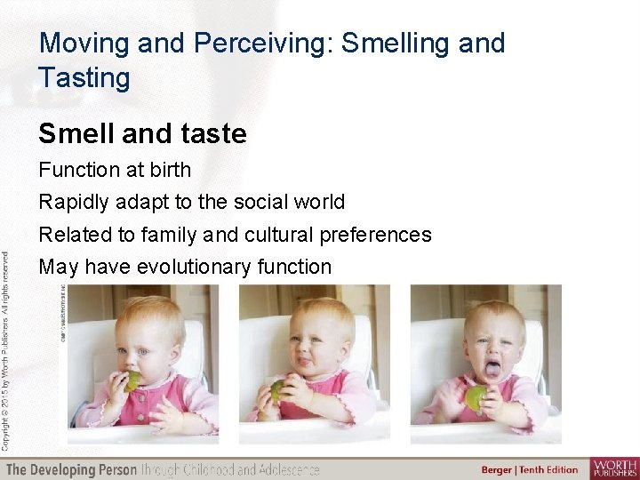 Moving and Perceiving: Smelling and Tasting Smell and taste Function at birth Rapidly adapt