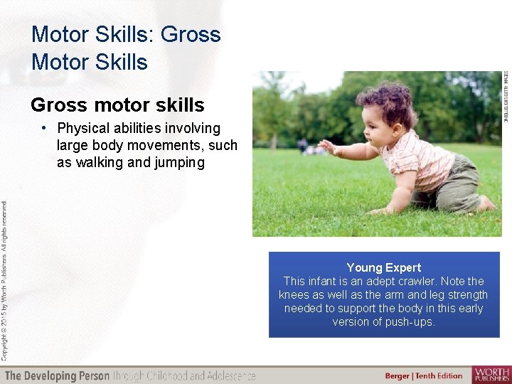 Motor Skills: Gross Motor Skills Gross motor skills • Physical abilities involving large body