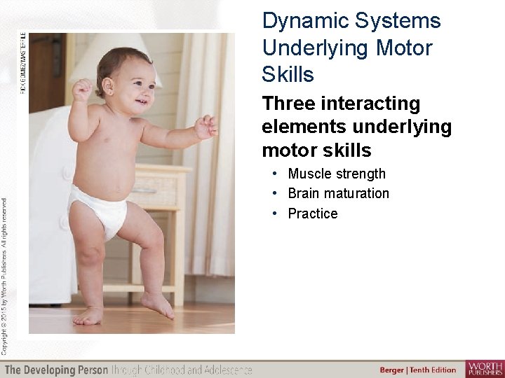 Dynamic Systems Underlying Motor Skills Three interacting elements underlying motor skills • Muscle strength