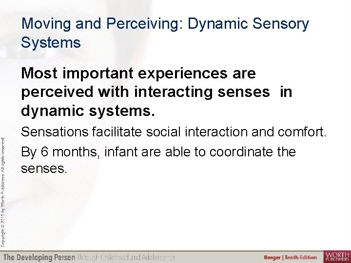 Moving and Perceiving: Dynamic Sensory Systems Most important experiences are perceived with interacting senses
