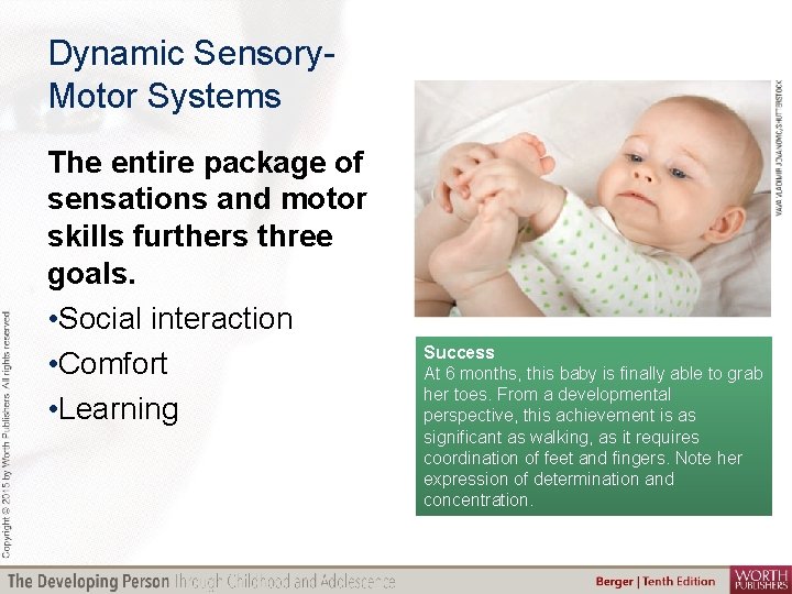 Dynamic Sensory. Motor Systems The entire package of sensations and motor skills furthers three