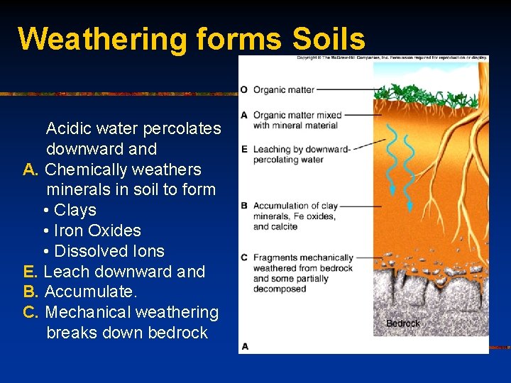 Weathering forms Soils Acidic water percolates downward and A. Chemically weathers minerals in soil