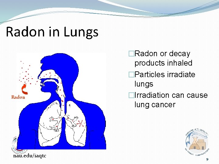 Radon in Lungs Radon nau. edu/iaqtc �Radon or decay products inhaled �Particles irradiate lungs