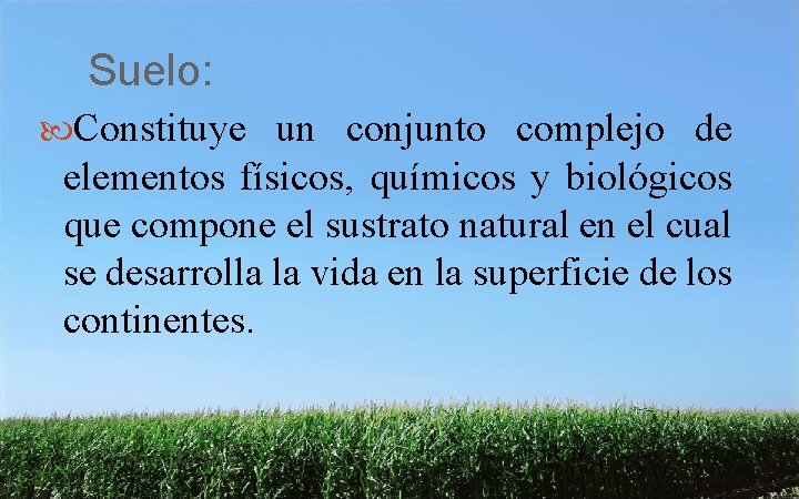 Suelo: Constituye un conjunto complejo de elementos físicos, químicos y biológicos que compone el