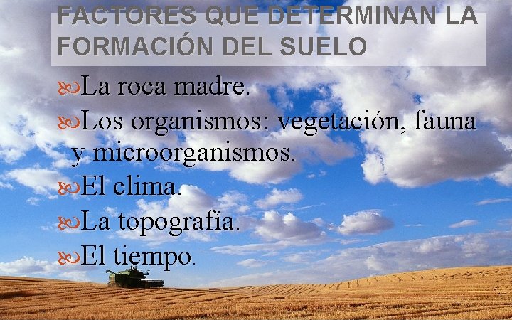 FACTORES QUE DETERMINAN LA FORMACIÓN DEL SUELO La roca madre. Los organismos: vegetación, fauna