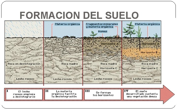 FORMACION DEL SUELO 