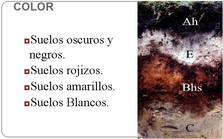 COLOR ◘Suelos oscuros y negros. ◘Suelos rojizos. ◘Suelos amarillos. ◘Suelos Blancos. 