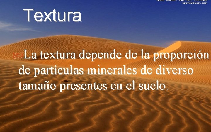 Textura La textura depende de la proporción de partículas minerales de diverso tamaño presentes