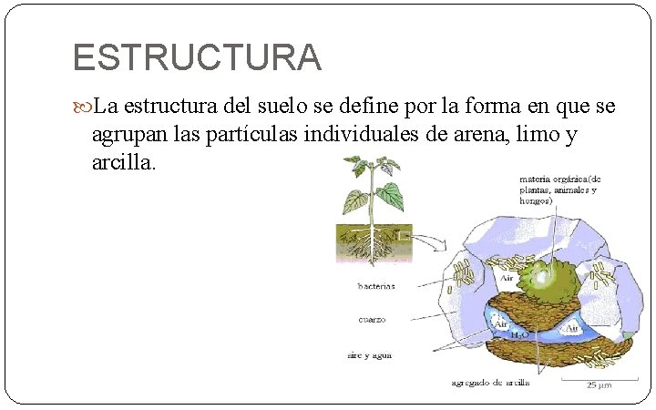 ESTRUCTURA La estructura del suelo se define por la forma en que se agrupan