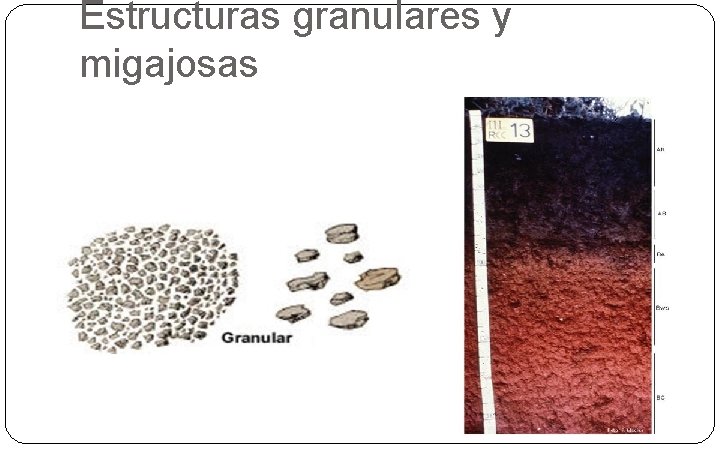 Estructuras granulares y migajosas 