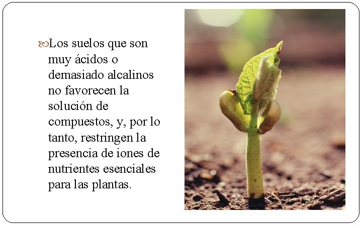  Los suelos que son muy ácidos o demasiado alcalinos no favorecen la solución