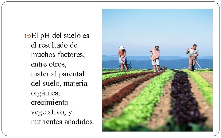  El p. H del suelo es el resultado de muchos factores, entre otros,