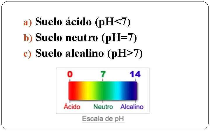 a) Suelo ácido (p. H<7) b) Suelo neutro (p. H=7) c) Suelo alcalino (p.