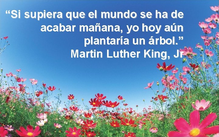 “Si supiera que el mundo se ha de acabar mañana, yo hoy aún plantaría