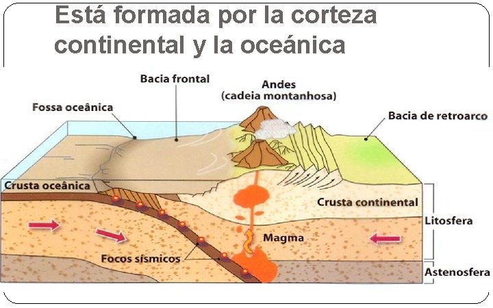 Está formada por la corteza continental y la oceánica 