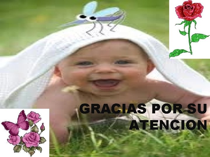 GRACIAS POR SU ATENCION 