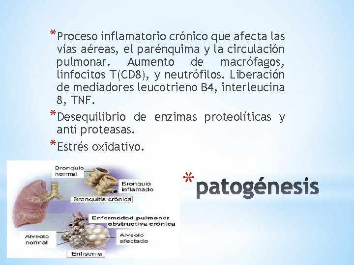 *Proceso inflamatorio crónico que afecta las vías aéreas, el parénquima y la circulación pulmonar.