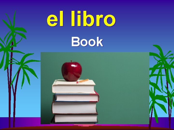 el libro Book 