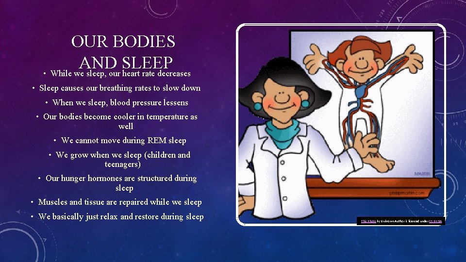 OUR BODIES AND SLEEP • While we sleep, our heart rate decreases • Sleep