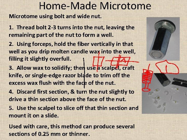 Home-Made Microtome using bolt and wide nut. 1. Thread bolt 2 -3 turns into