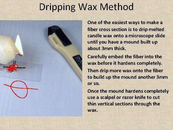 Dripping Wax Method One of the easiest ways to make a fiber cross section