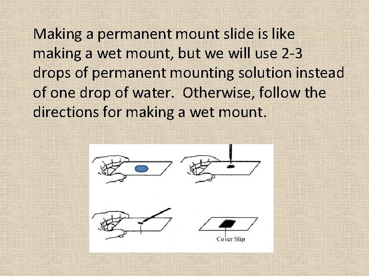 Making a permanent mount slide is like making a wet mount, but we will