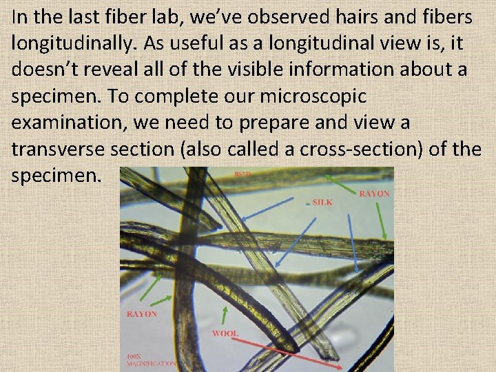 In the last fiber lab, we’ve observed hairs and fibers longitudinally. As useful as