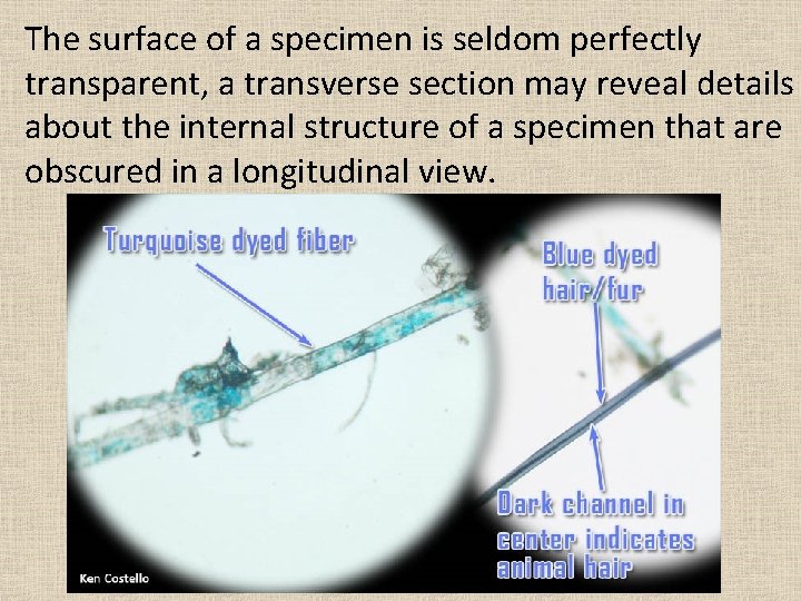 The surface of a specimen is seldom perfectly transparent, a transverse section may reveal