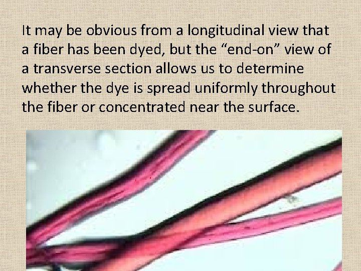 It may be obvious from a longitudinal view that a fiber has been dyed,