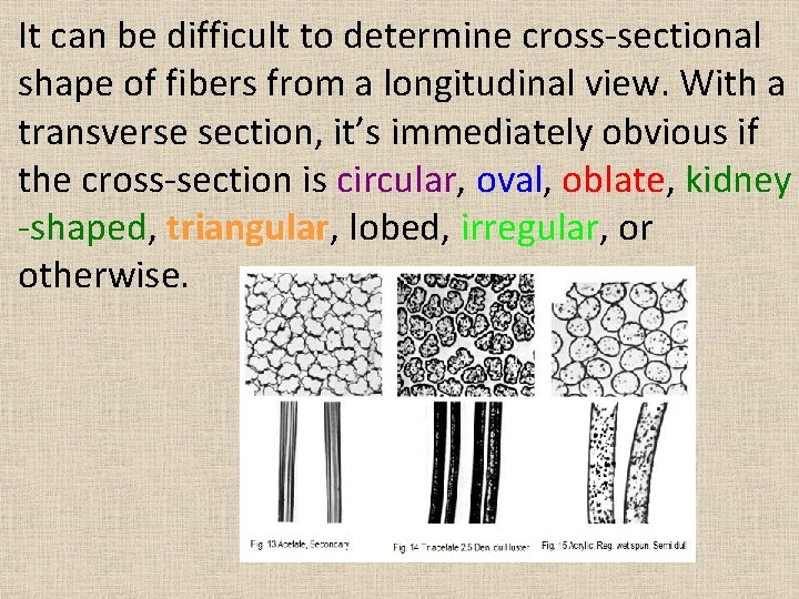 It can be difficult to determine cross-sectional shape of fibers from a longitudinal view.