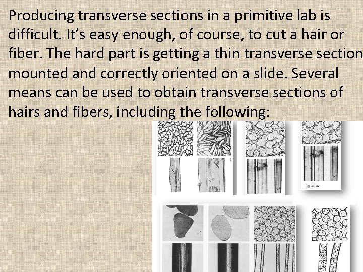 Producing transverse sections in a primitive lab is difficult. It’s easy enough, of course,
