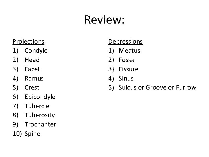 Review: Projections 1) Condyle 2) Head 3) Facet 4) Ramus 5) Crest 6) Epicondyle