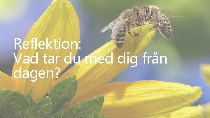 Reflektion: Vad tar du med dig från dagen? 