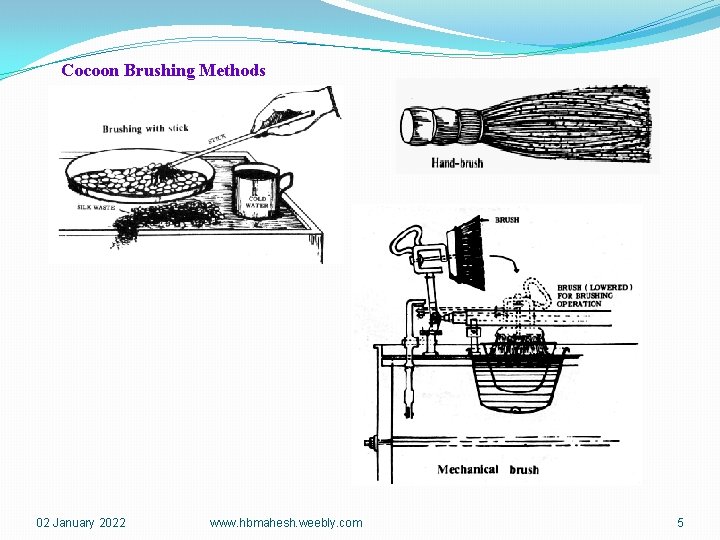 Cocoon Brushing Methods 02 January 2022 www. hbmahesh. weebly. com 5 