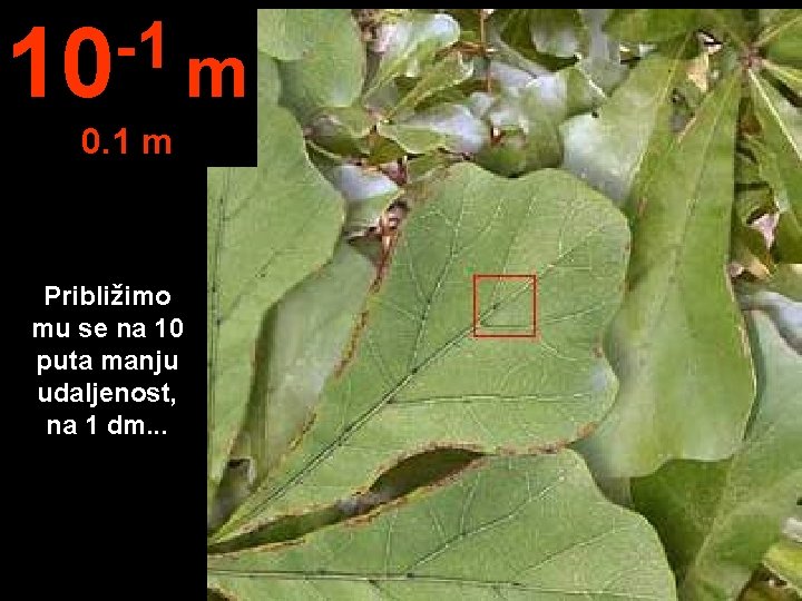 -1 10 m 0. 1 m Približimo mu se na 10 puta manju udaljenost,